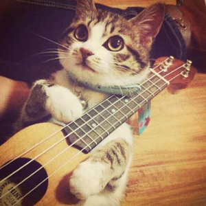 国产日韩在线视频一区二区三区
